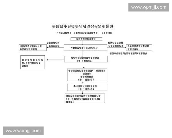 入场检录流程优化与管理策略探讨及其在大型活动中的应用分析