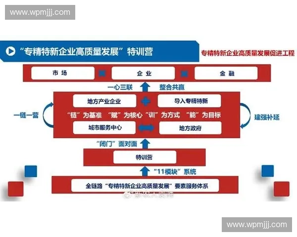 面向高质量发展的综合测试认证体系建设与应用创新研究实践路径 面向高质量发展的综合测试认证体系建设与应用创新研究实践路径